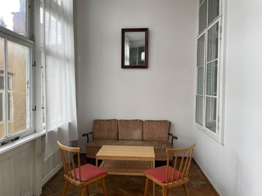 Geraeumige Altbauwohnung Im Zentrum Грац Экстерьер фото