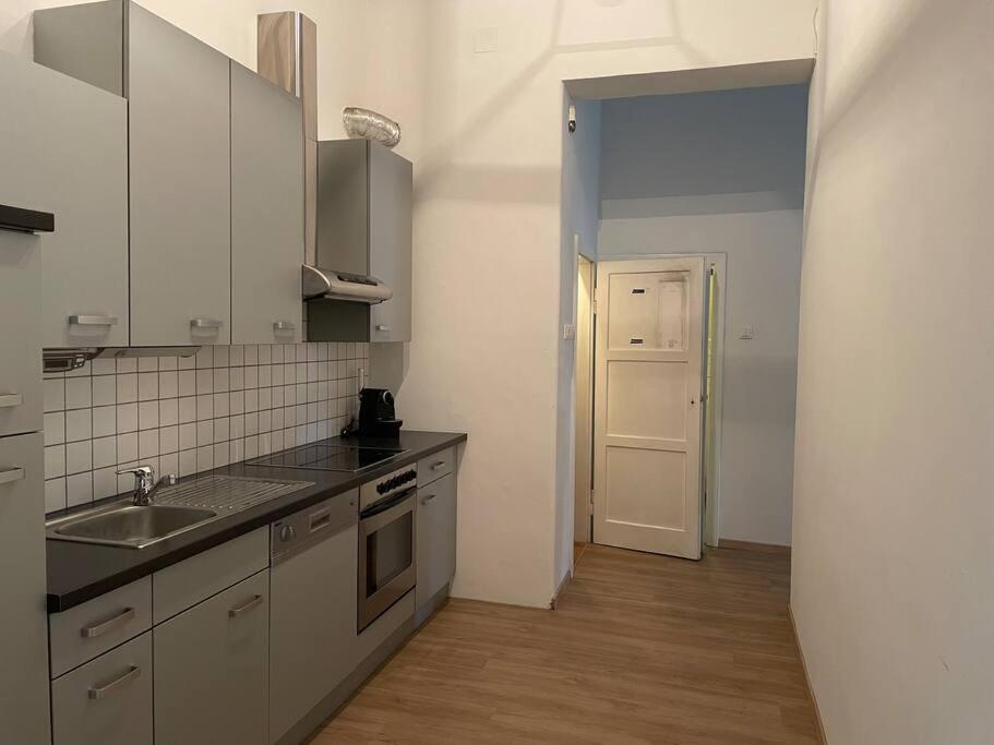 Geraeumige Altbauwohnung Im Zentrum Грац Экстерьер фото
