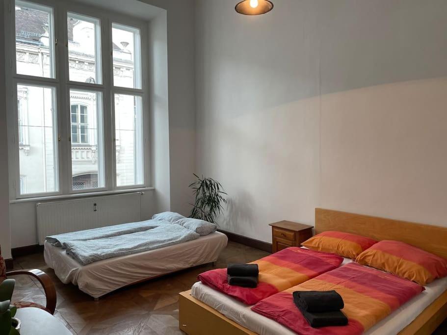 Geraeumige Altbauwohnung Im Zentrum Грац Экстерьер фото