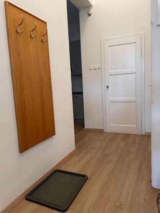 Geraeumige Altbauwohnung Im Zentrum Грац Экстерьер фото