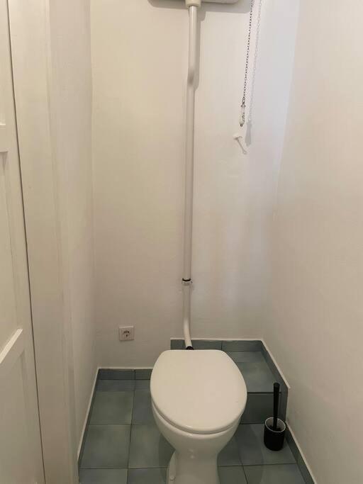 Geraeumige Altbauwohnung Im Zentrum Грац Экстерьер фото